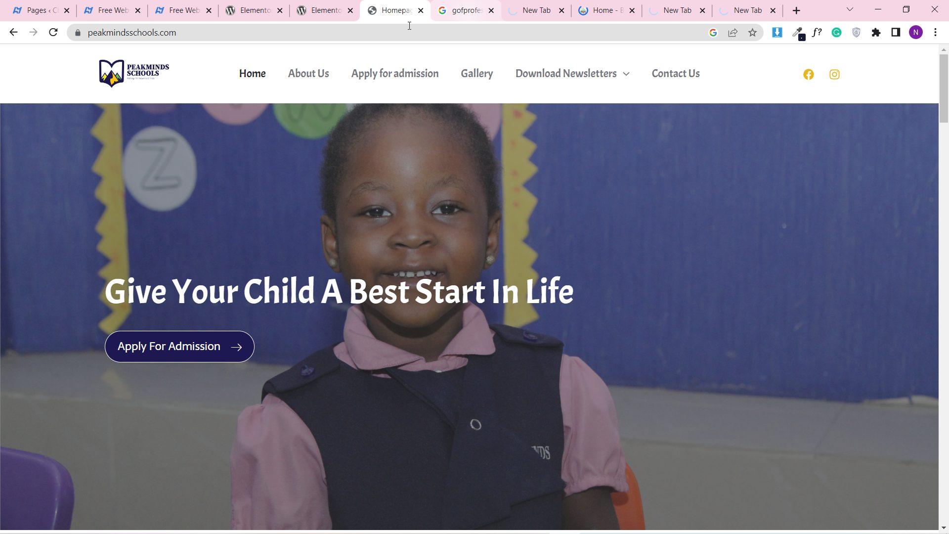 Peak Minds Schools website