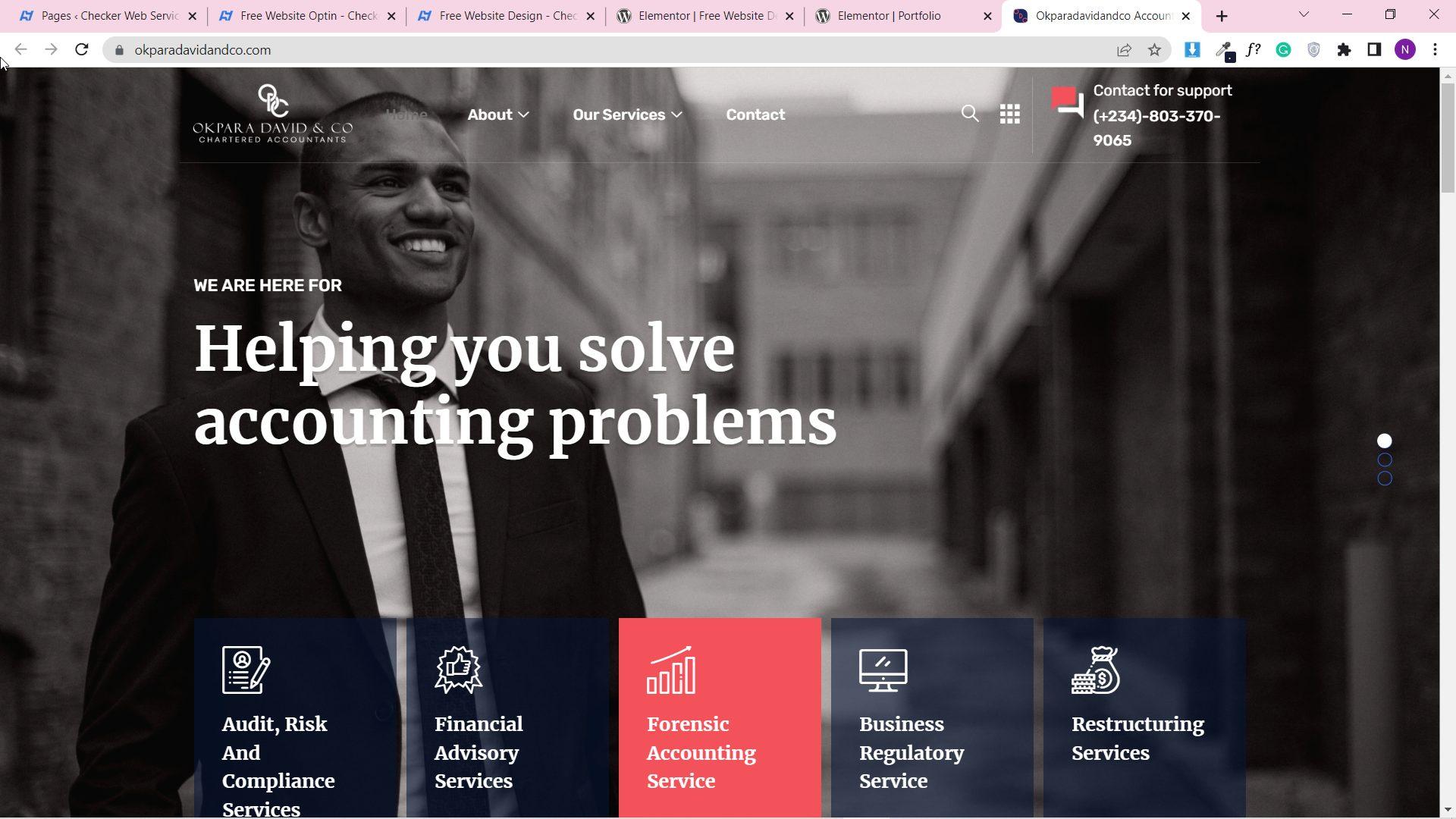 Okpara David and Co website