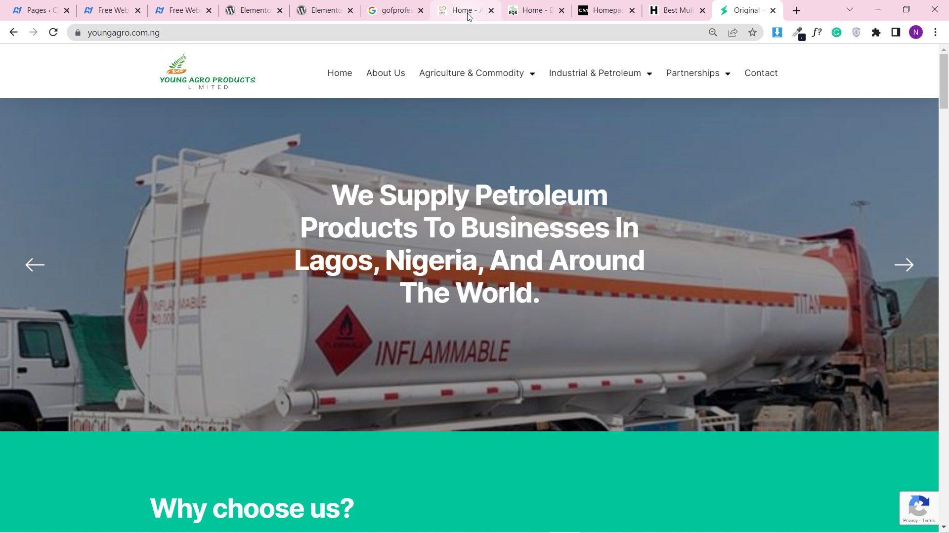 Young Agro website